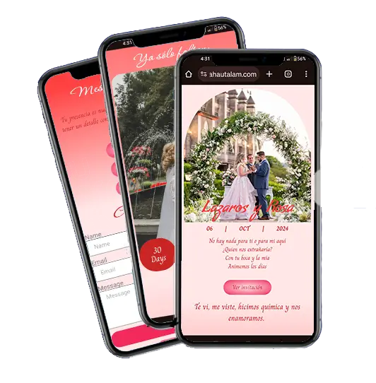 Demo INVITACIÓN PARA BODA
